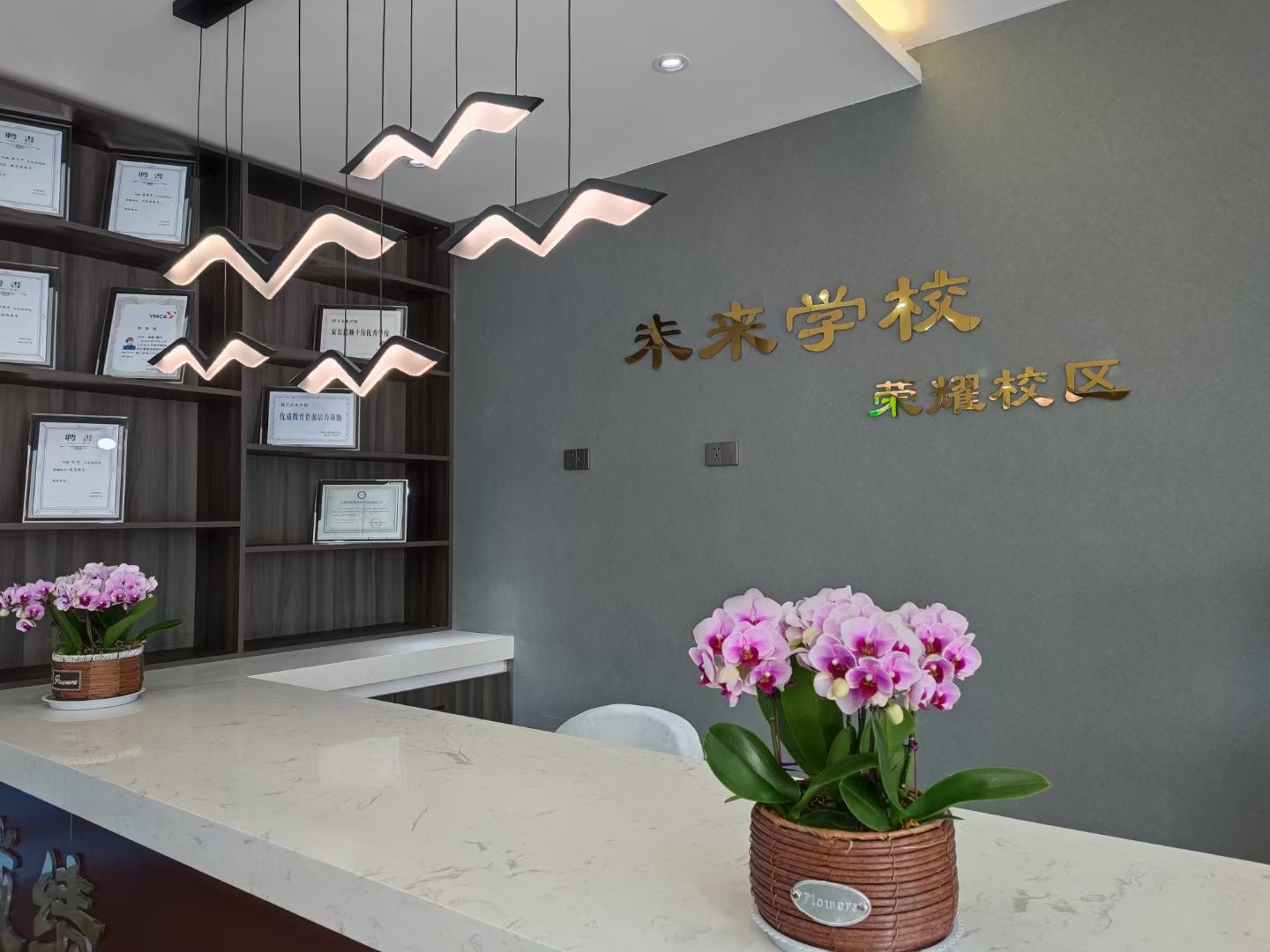 未来学校的办学性质？